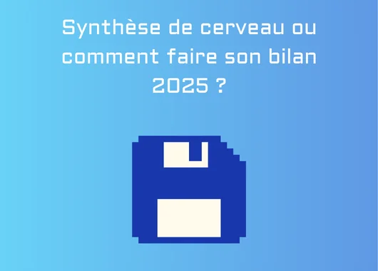 Synthèse de cerveau ou comment faire son bilan 2025