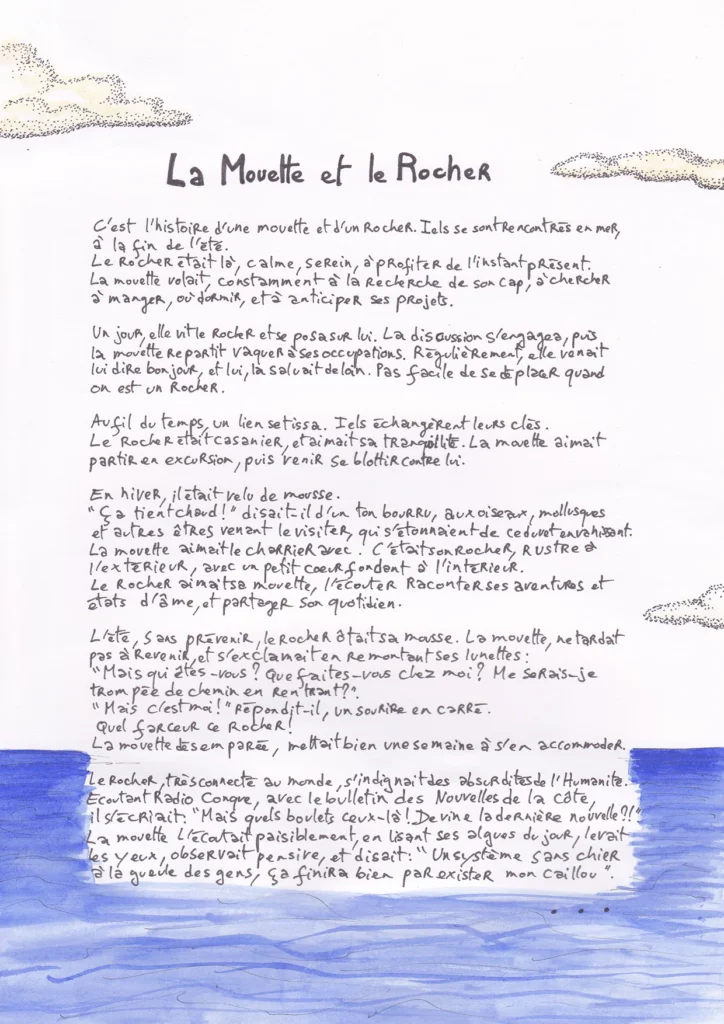 La mouette et le rocher 1/2